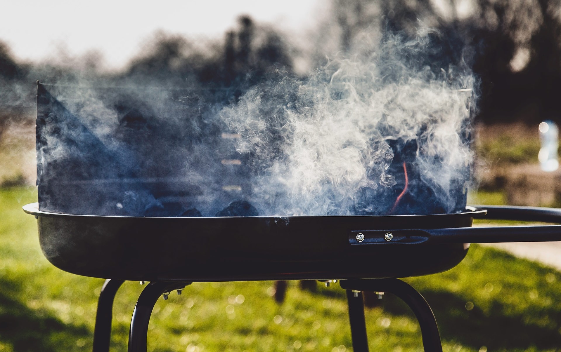 Which product: Choosing the best BBQ